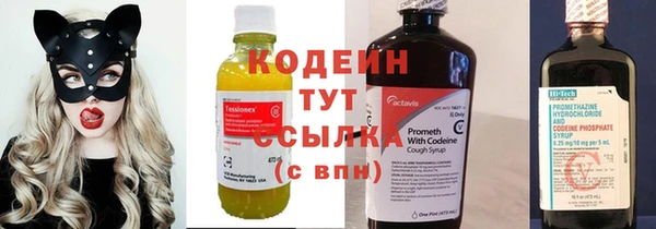 ГАЛЛЮЦИНОГЕННЫЕ ГРИБЫ Инта