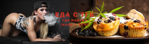 ГАЛЛЮЦИНОГЕННЫЕ ГРИБЫ Инта