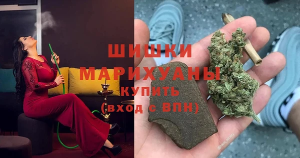прущие грибы Зеленодольск