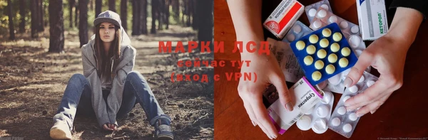 прущие грибы Зеленодольск