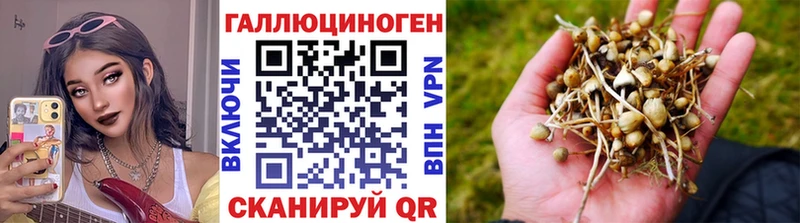 Галлюциногенные грибы мухоморы Заволжск